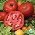 Ferry-Morse Organic Tomato Seeds